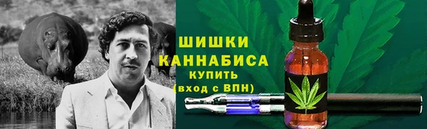 2c-b Горно-Алтайск