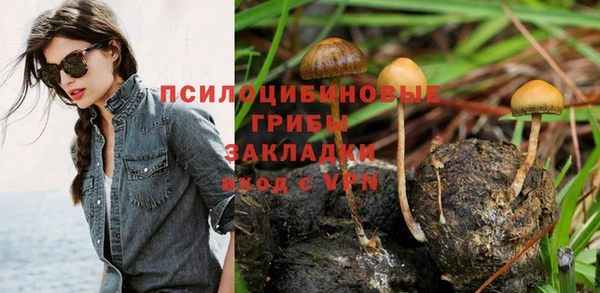 Альфа ПВП Горнозаводск