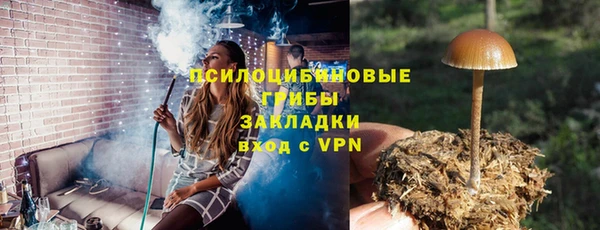 не бодяженный Вяземский