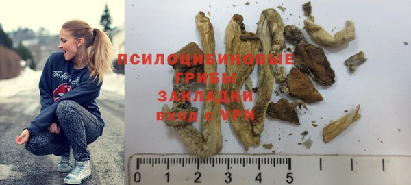 дмт Вязьма