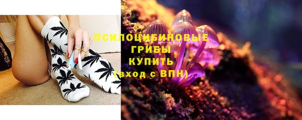 не бодяженный Вяземский